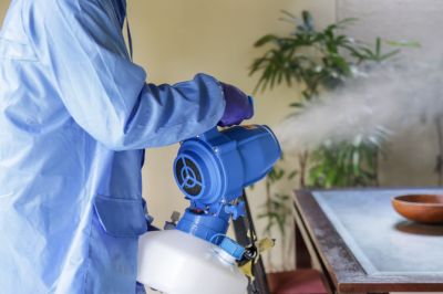 Pest Fumigation Service in Woodbridge, VA