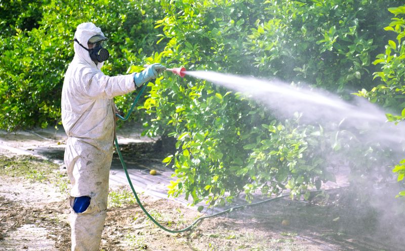 Pest Fumigation Service in Naperville, IL