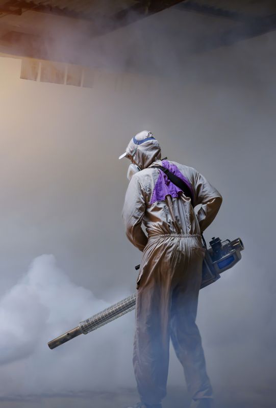 Roach Fumigation in Coeur D Alene, ID