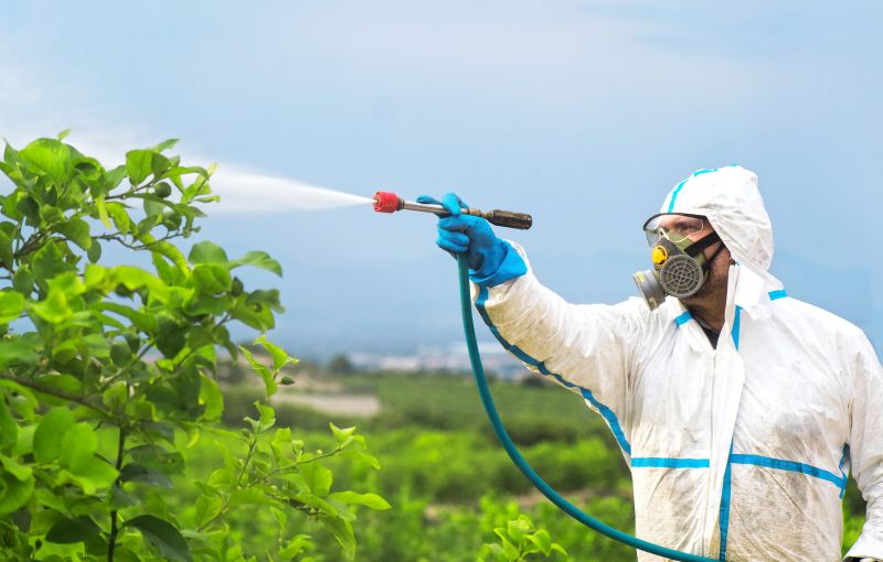 Fumigation Service in Fayetteville, NC