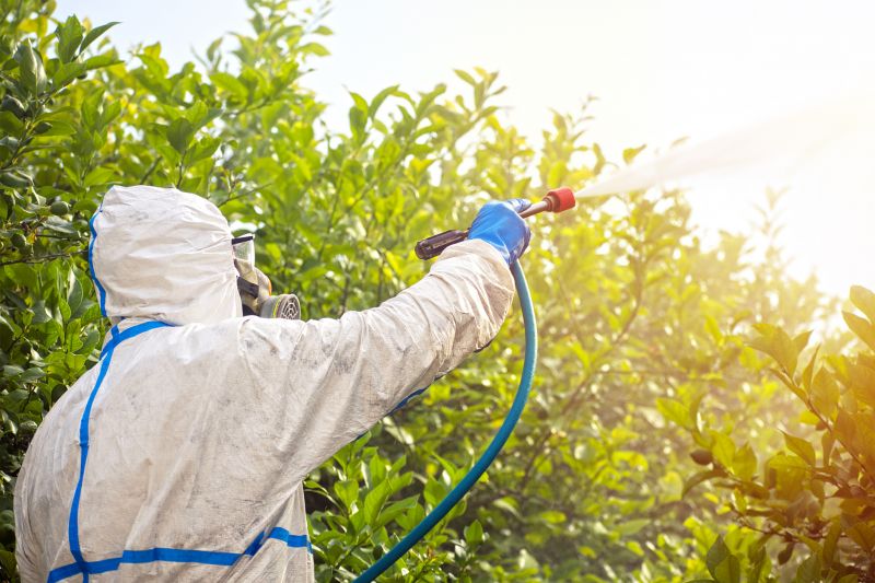Pest Fumigation Service in Myrtle Beach, SC