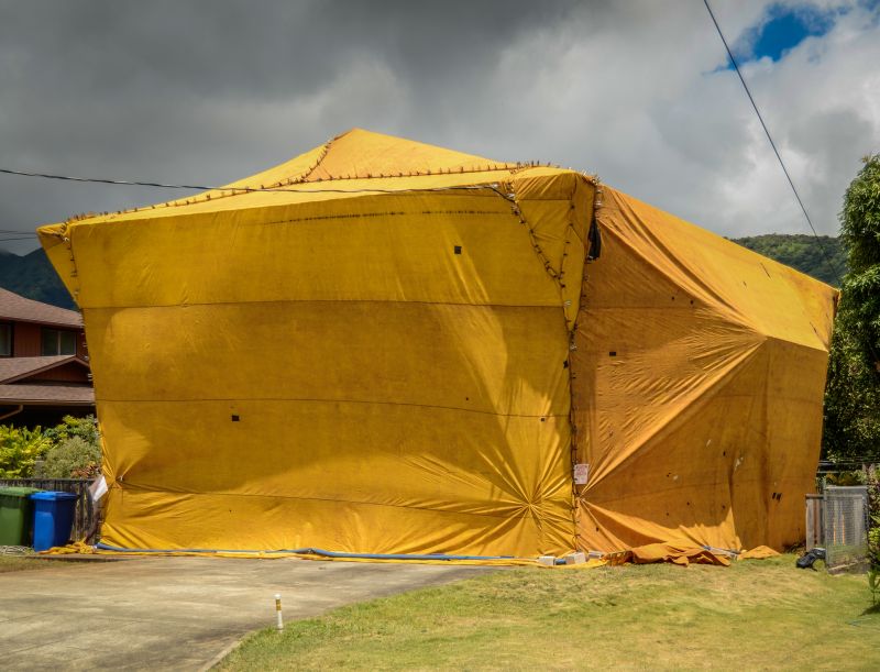 Termite Tenting in Asheville, NC